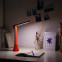 Изображение товара «Настольная лампа Xiaomi Yeelight Rechargeable Folding Desk Lamp (YLTD11YL) Red» №2